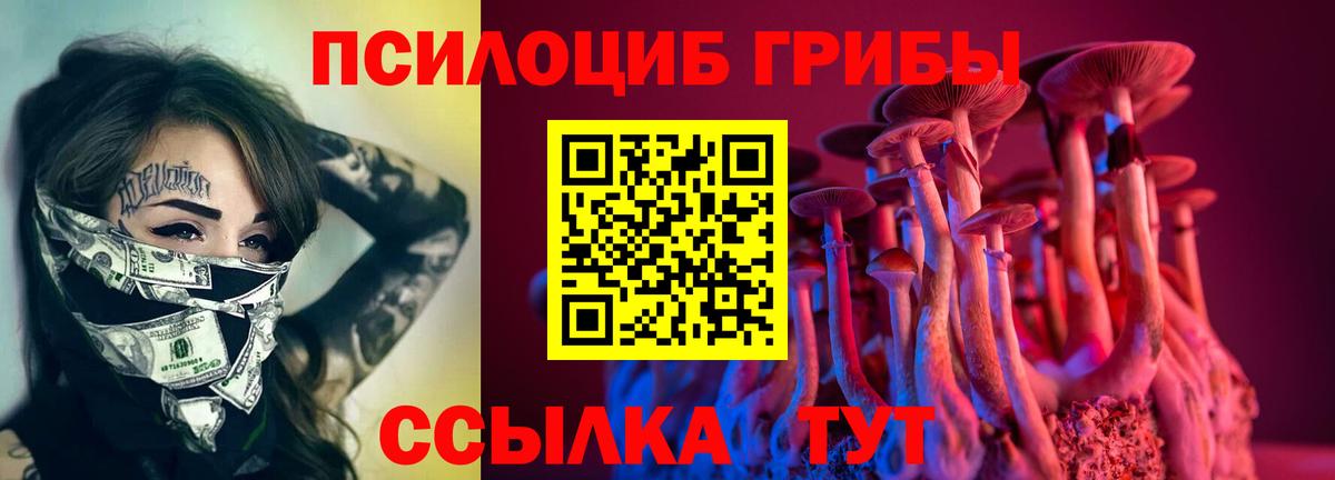 цены наркотик  Галлюциногенные грибы мухоморы  Вход с VPN  Жуковский 